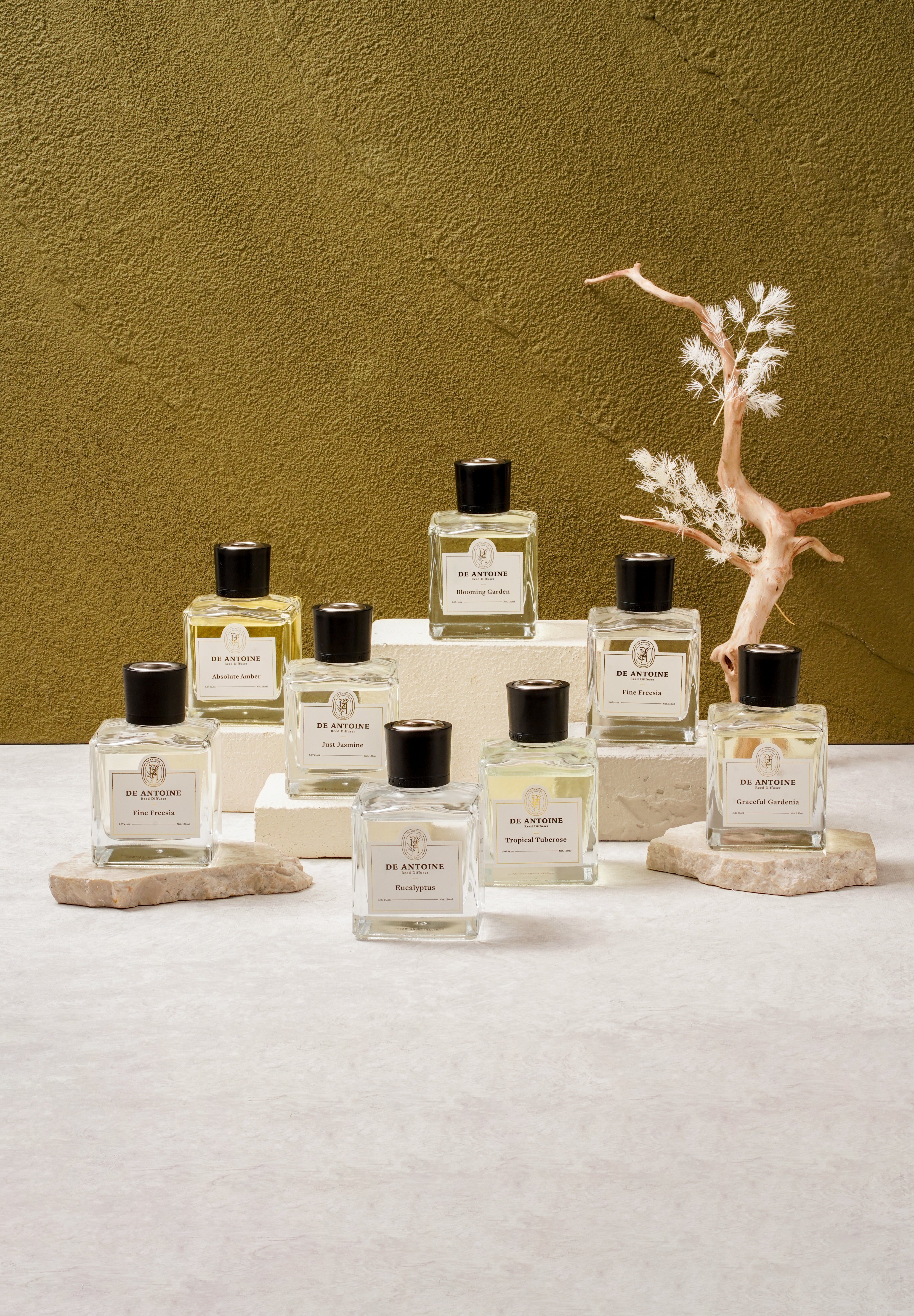 Atelier Collection